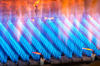Felton gas fired boilers